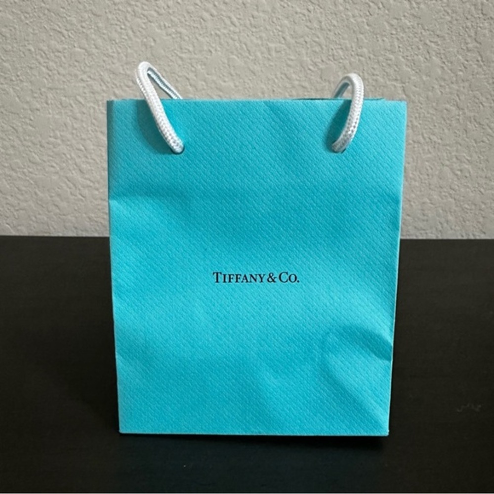 Tiffany & Co. Bag Tiffany Blue Recycled Paper Shopping Gift Store Rope Straps